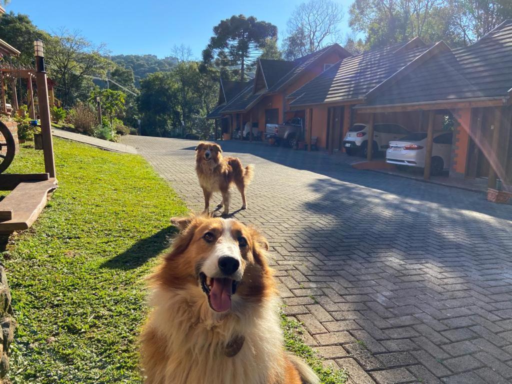 Pousada Maibe Amanhecer Na Serra Gramado Esterno foto